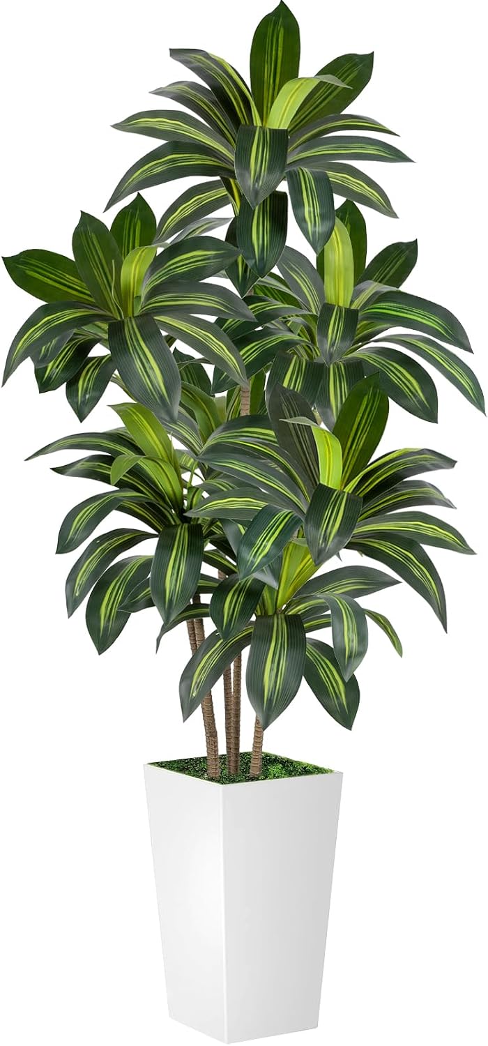 VIVATREES Dracaena Tree 6FT Artificial, 72in Tall Faux Dracaena Tree with 15.7 White Planter, Fake Potted Tree for Indoor & Outdoor Home Office Decor