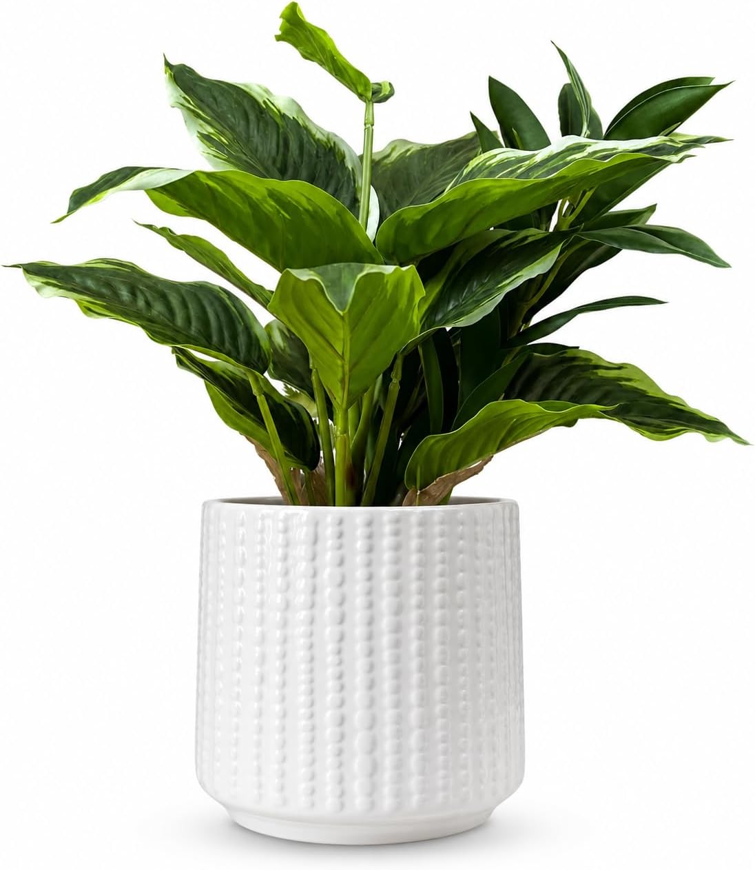Ceramic Planter Pot with Drainage Hole, 5 Inch Dia, Indoor and Outdoor, Home Patio Garden, Plants&Flowers, Textured Round (White)