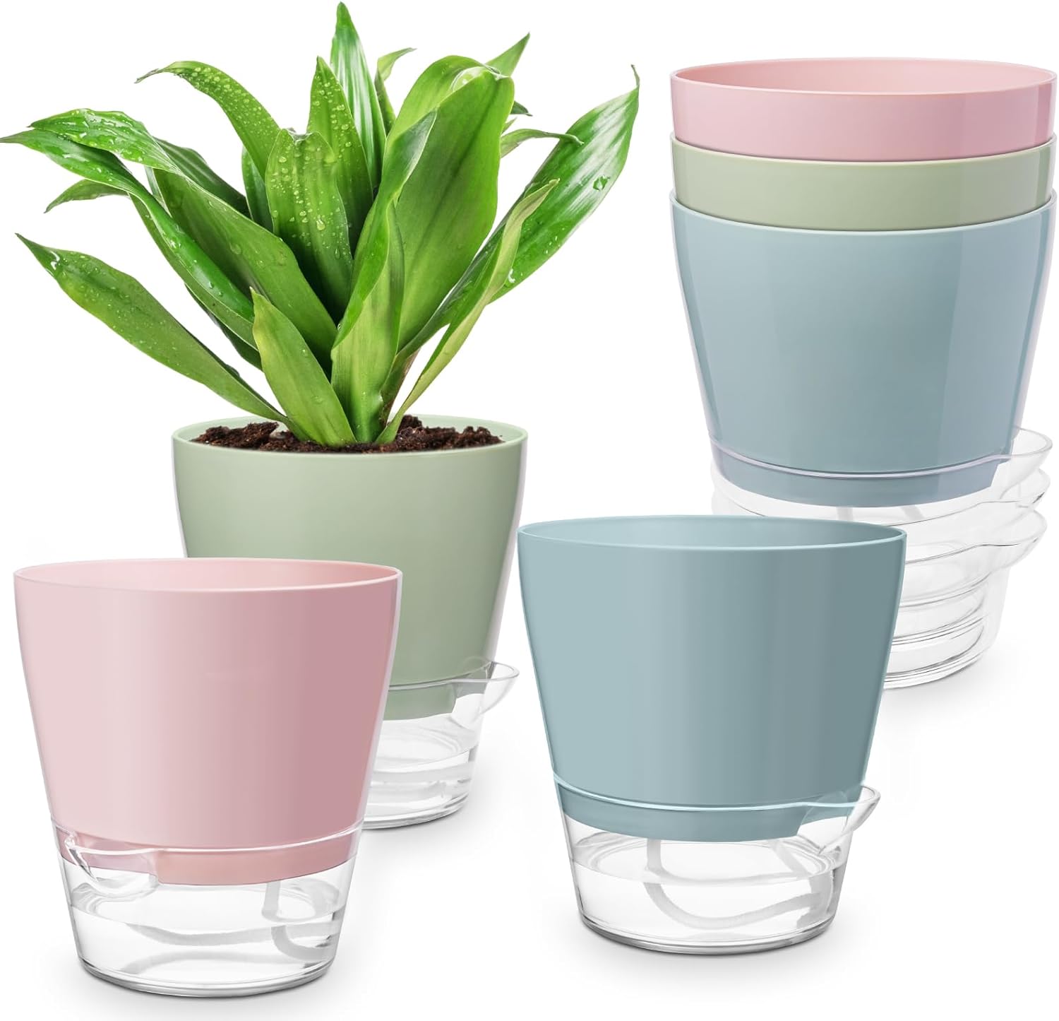Hayder Plant Pots 6 inch Set of 6, Self Watering Flower Pots | Self Watering Planters with Drainage Hole, Water Level Indicator, Clear Deep Saucer Reservoir, Modern Decorative Flower Pots