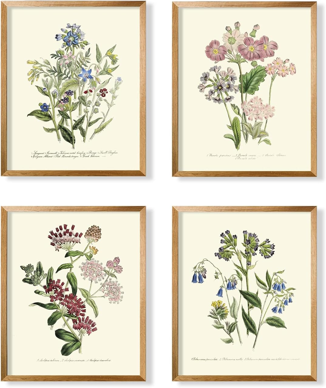 Watercolor Vintage Flower Poster Print – Primitive Green Magnolia Leaves Pictures Gallery Gift – Rustic Modern French Country Cottagecore Wall Art – Farmhouse Plant Botanical Floral Kitchen Room Decor