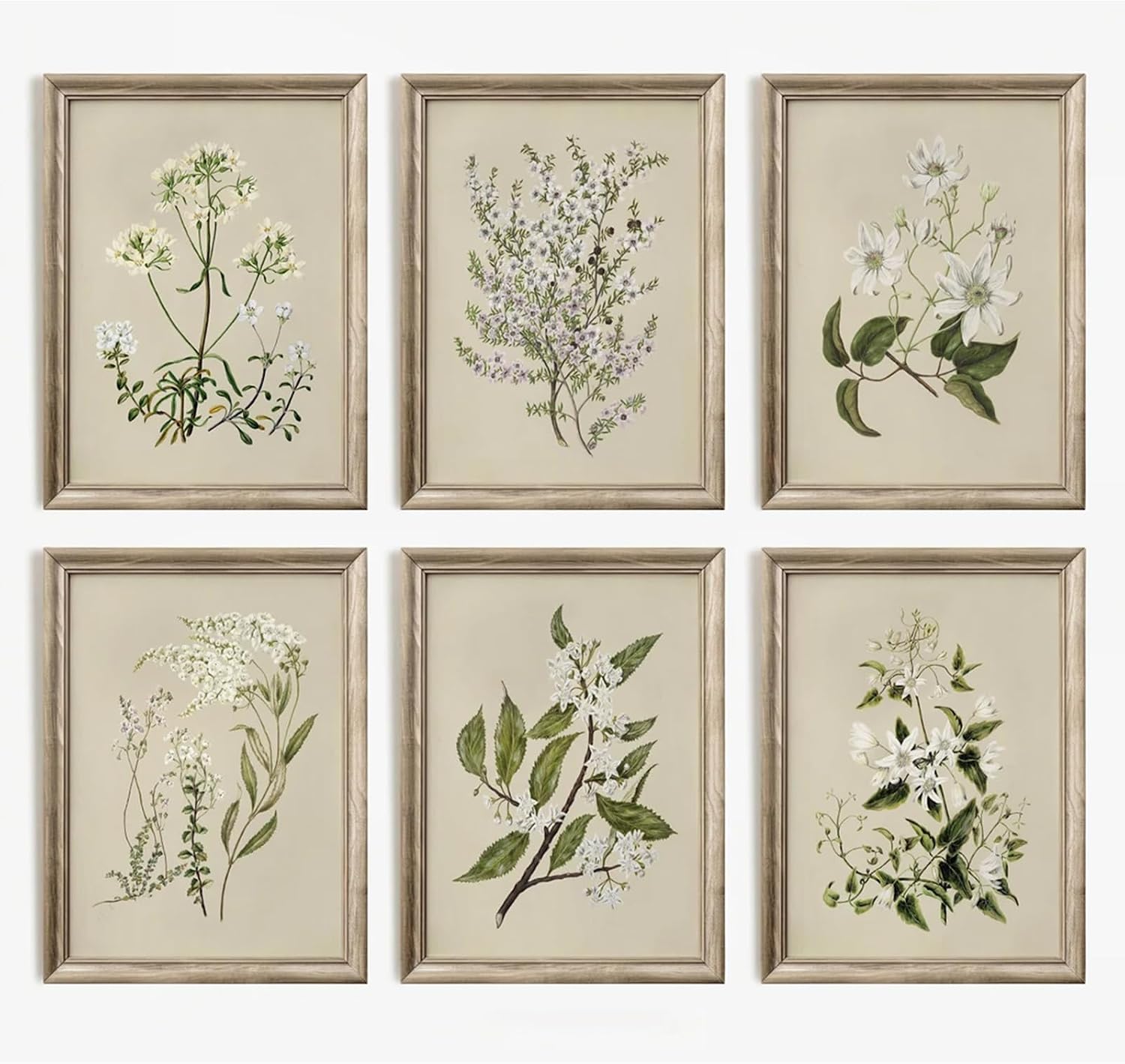 Vintage Botanical Wall Art Set of 6 Neutral Floral Canvas Wall Decor Wildflower Wall Art Watercolor Flower Prints Botanical Poster Minimalist Plant Pictures for Bedroom Living Room 8×10 Inch Unframed