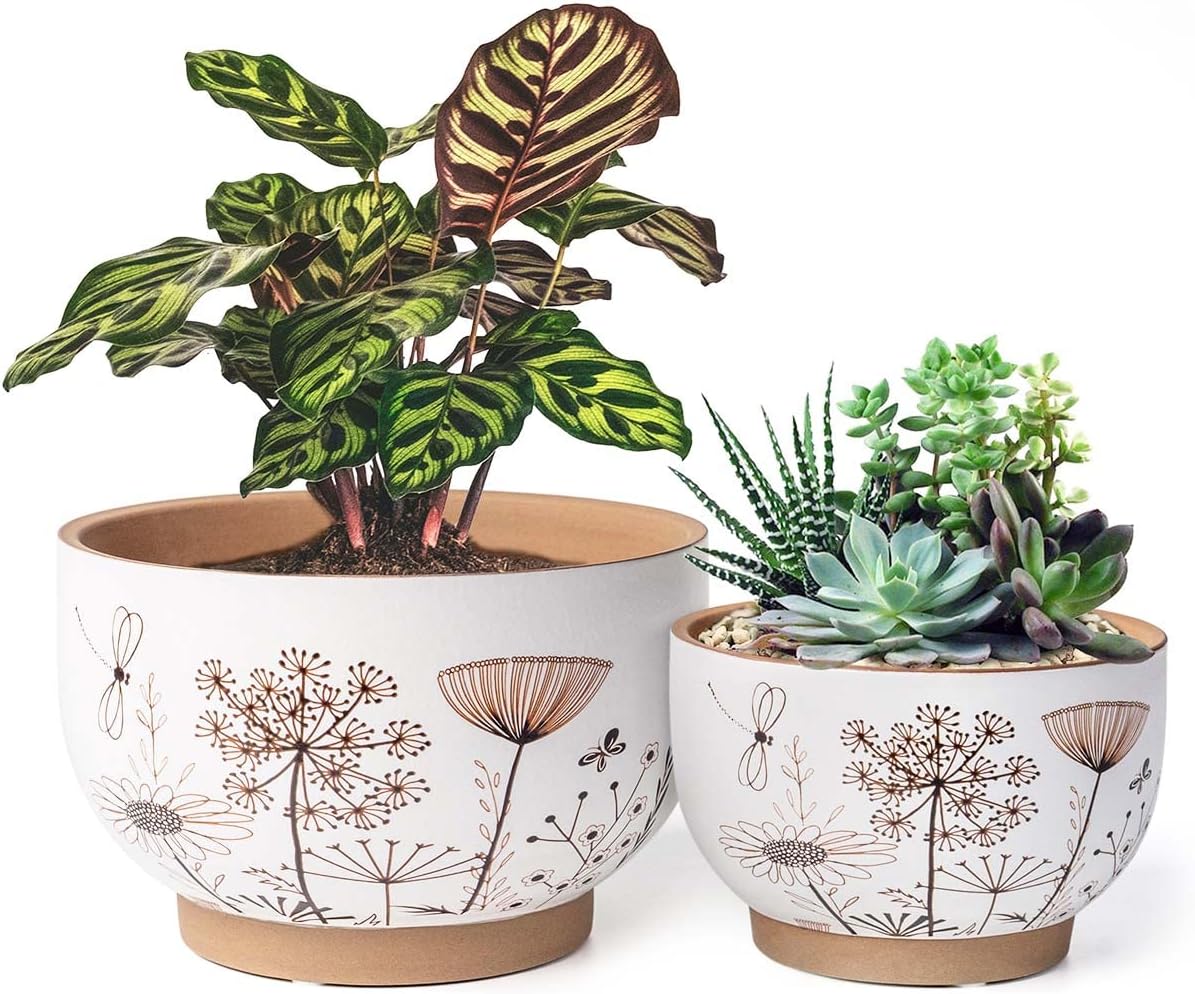 Terracotta Pots, 8+6 Inch Plant Pots, 2 Pcs with Drainage Holes | White & terracotta ceramic planters with botanical decals for indoor plants, flowers, succulents, herbs & home décor