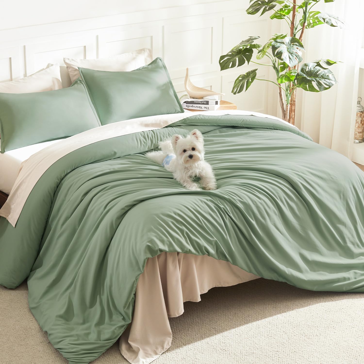 Litanika Queen Comforter Set Sage Green, 3 Pieces Lightweight Solid Bed Set | Soft Fluffy Down Alternative All Season Quilt Blanket