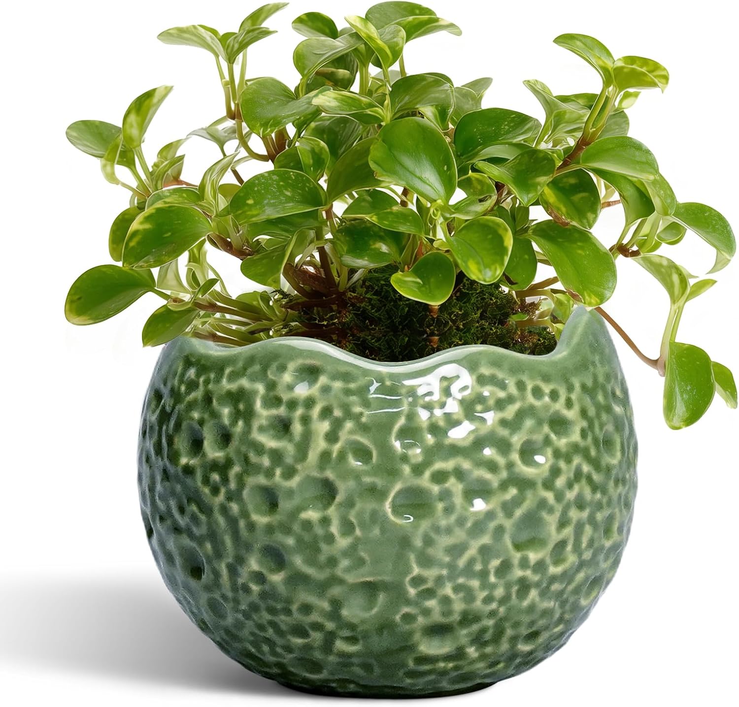 Ceramic Plant Pots – 4 inch Plant Pot with Drainage Hole, Small Pots for Plants Indoor Outdoor, Unique Round Planter, Modern Decorative Flower Pot, Room Decor, House Warming Gifts, Green