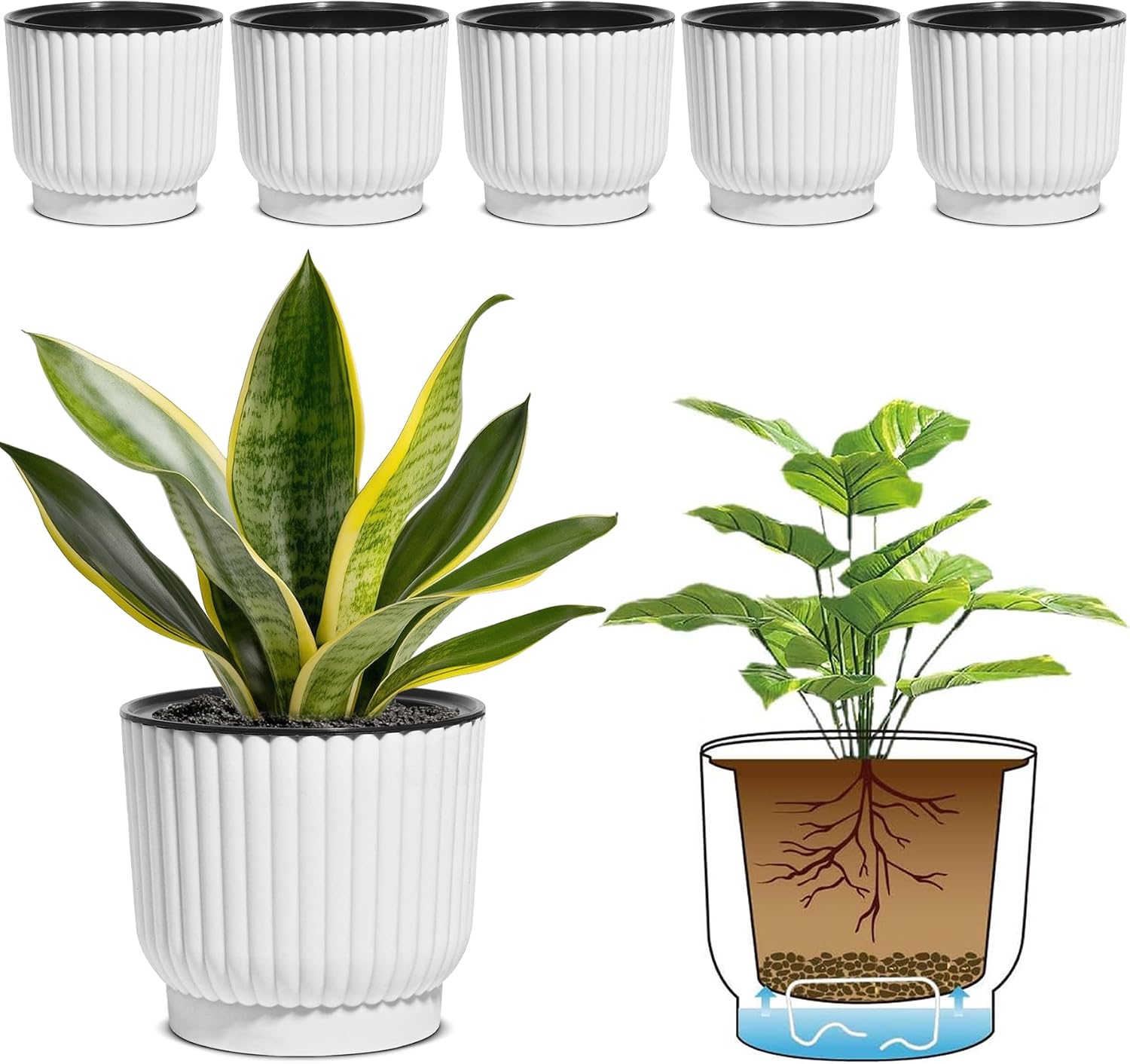 T4U Self Watering Pots for Indoor Plants, 6 Inch 6 Pack Planter White | African violet pothos ferns, Herb garden kitchen, Bottom feed reservoir, Easy care maintenance