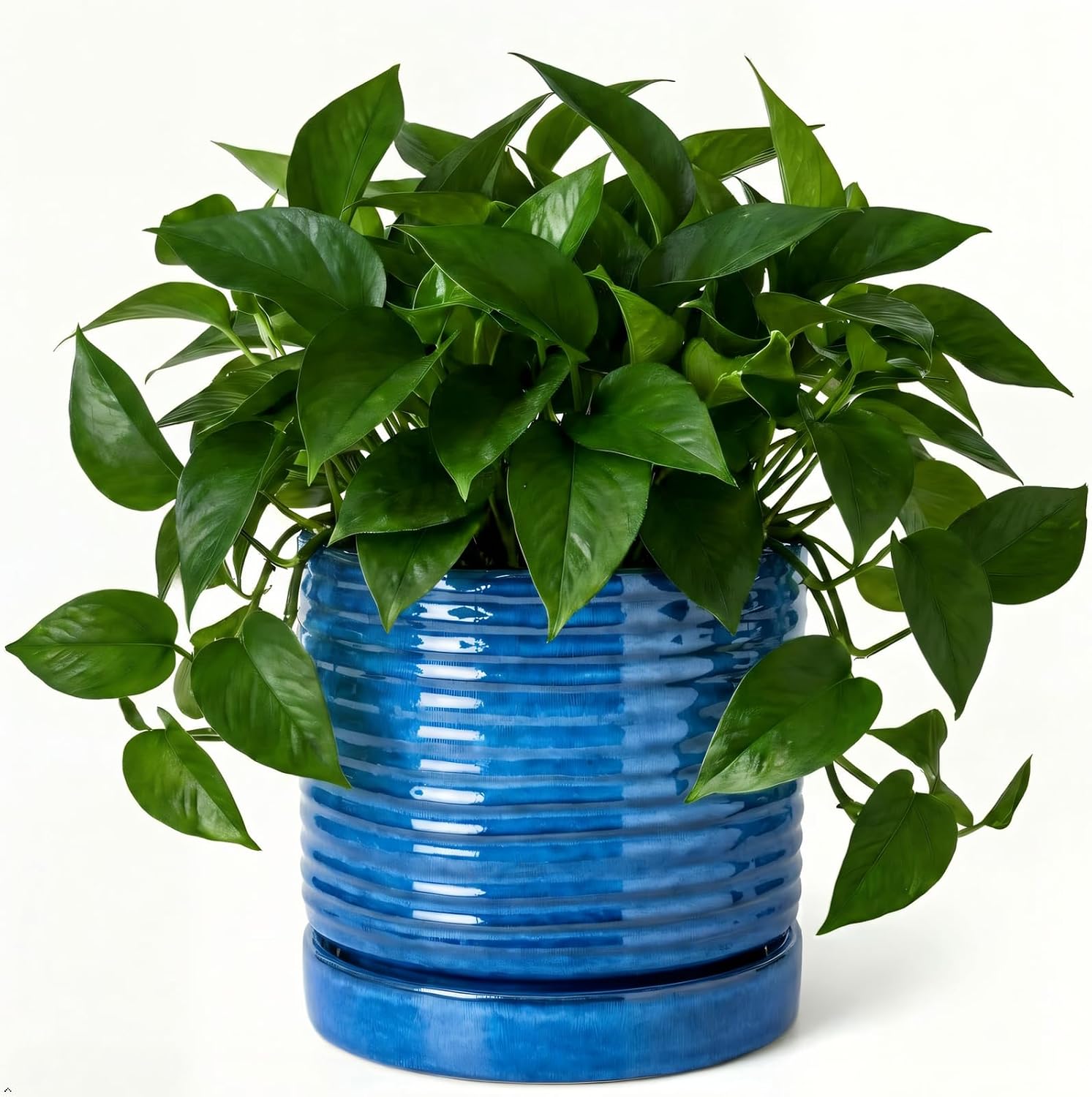HASENSE Ceramic Plant Pots Indoor Outdoor, 6 Inch Round Pot for Plants with Drainage Hole and Saucer, Reactive Glaze Blue Planter for Herb Snake, Ideal for Mom Gift