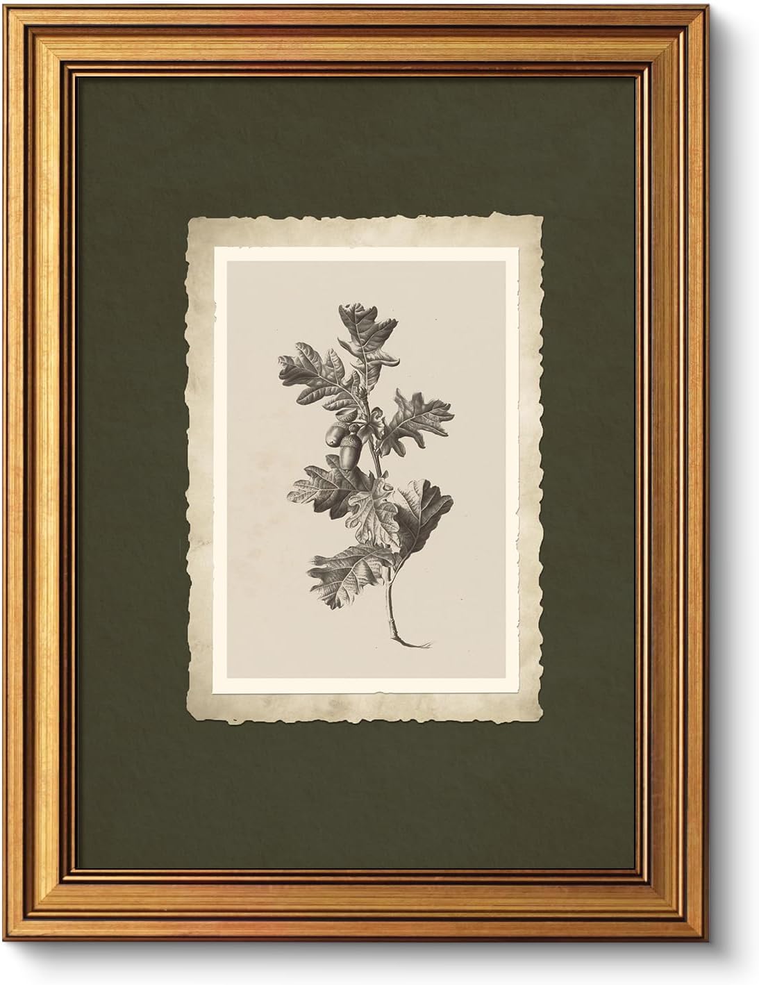 VIYYIEA Vintage Gold Framed Wall Art, Oak Leaf Wall Decor For Kitchen Bathroom Bedroom, Aesthetic Botanical Acorn Canvas Prints Paintings, Antique Botanical Drawing Neutral Art, 12x16inch