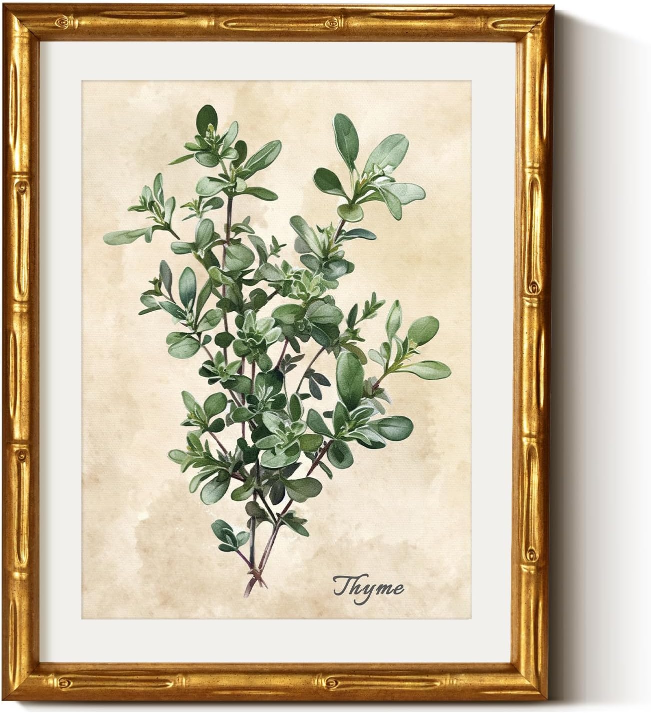 VIYYIEA Bamboo Detail Design Gold Framed Wall Art, Thyme Canvas Prints, Vintage Wall Art Bamboo Style Botanical Wall Decor for Living Room, Picture Print Painting, 11 x 14 Inch