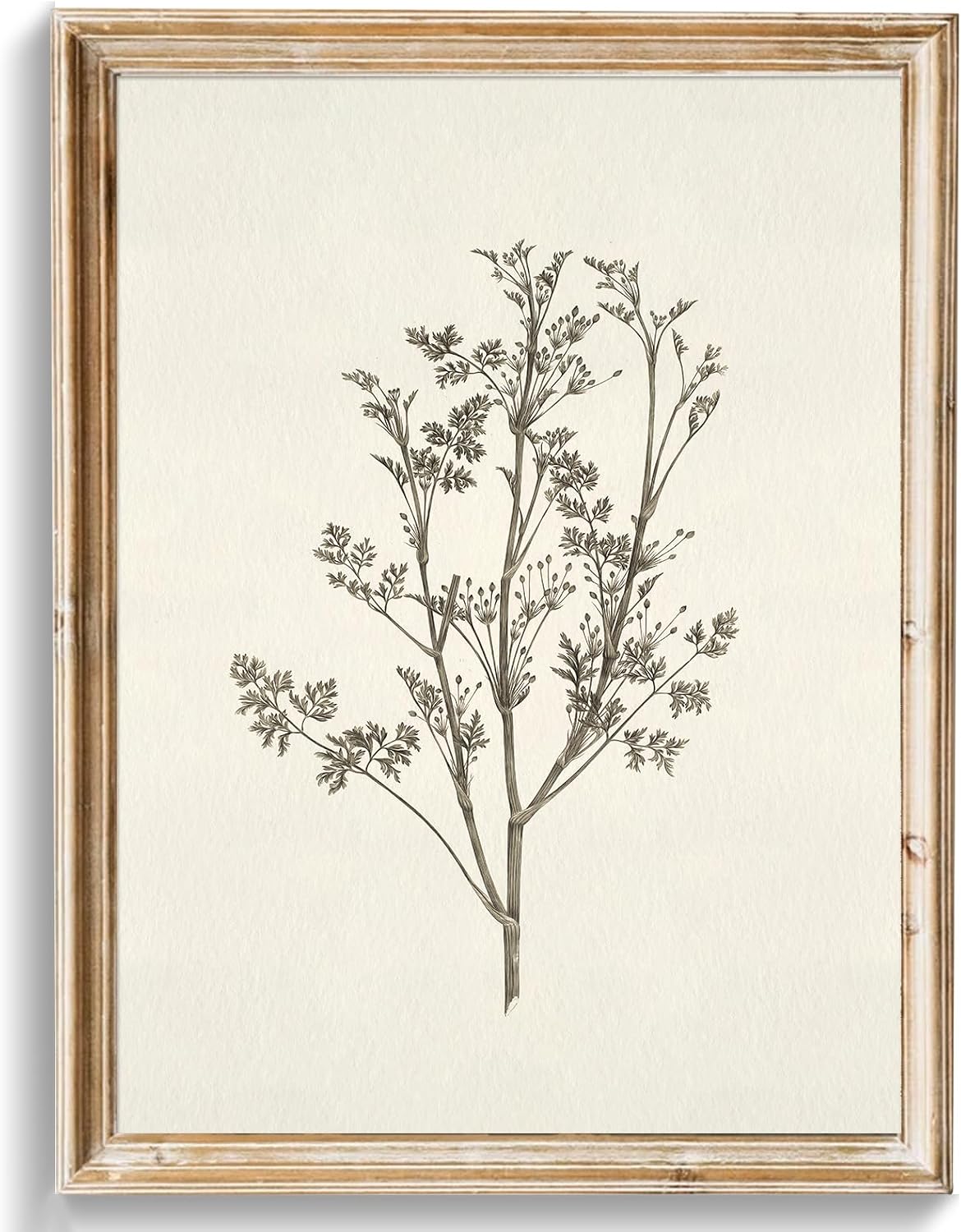 uniro Vintage Botanical Wall Art Prints, Neutral Floral Canvas Art Prints Painting, Rustic Flower Drawing Minimalist Wall Decor for Living Room, Bedroom, Desktop Decor – (8″ x 10″-UNFRAMED)