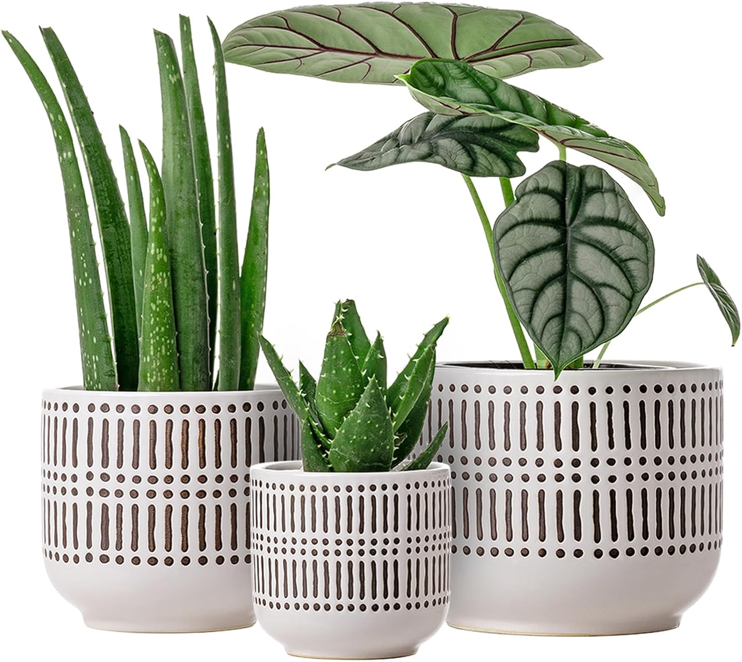 Docrin 3-Pack Ceramic Plant pots Set – 6.5″+5.3″+4″ Dual-Tone Flower Pots with Drainage Holes, Modern Indoor Outdoor Planters for Succulents/Herbs/Large Plants, Home Office (Brownish Black & White)