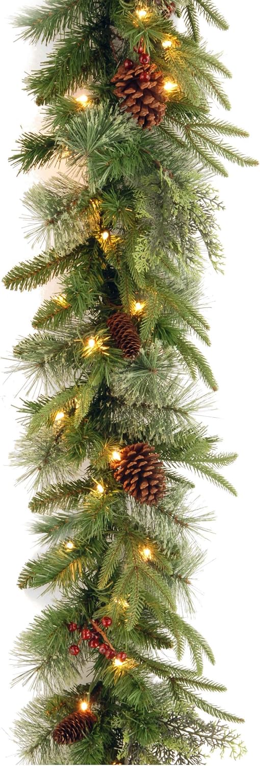 National Tree Company 9 ft Pre-Lit Colonial Fir, Artificial Christmas Garland, Christmas Decoration with Red Berries, Pinecones, 50 Dual Color LED Lights, 220 Tips, 10 Light Functions, Timer, Green