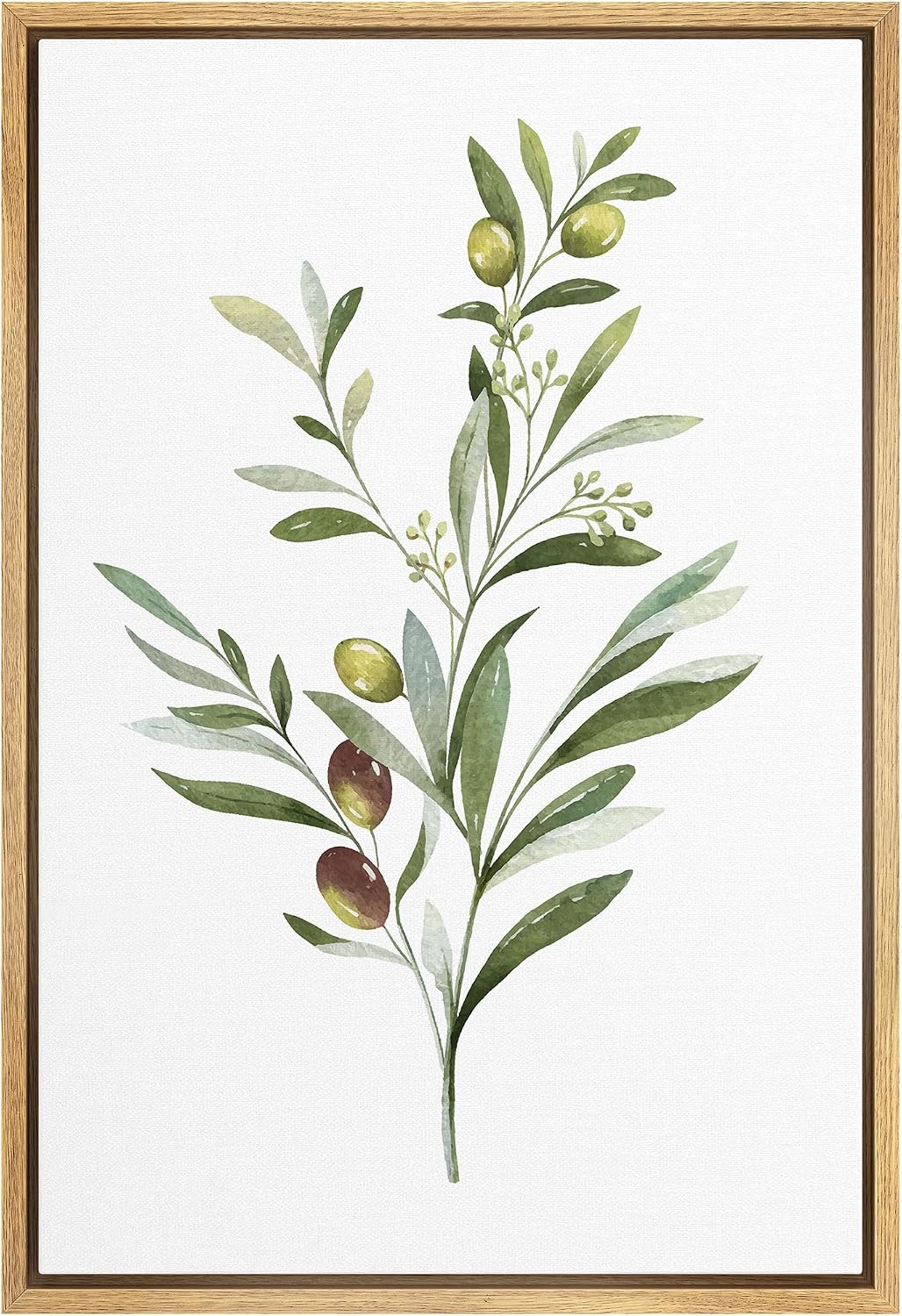 wall26 Framed Canvas Print Wall Art Olives on Green Watercolor Branch Floral Botanical Illustrations Modern Rustic Zen Relax/Calm Multicolor for Living Room, Bedroom, Office – 24×36 Natural