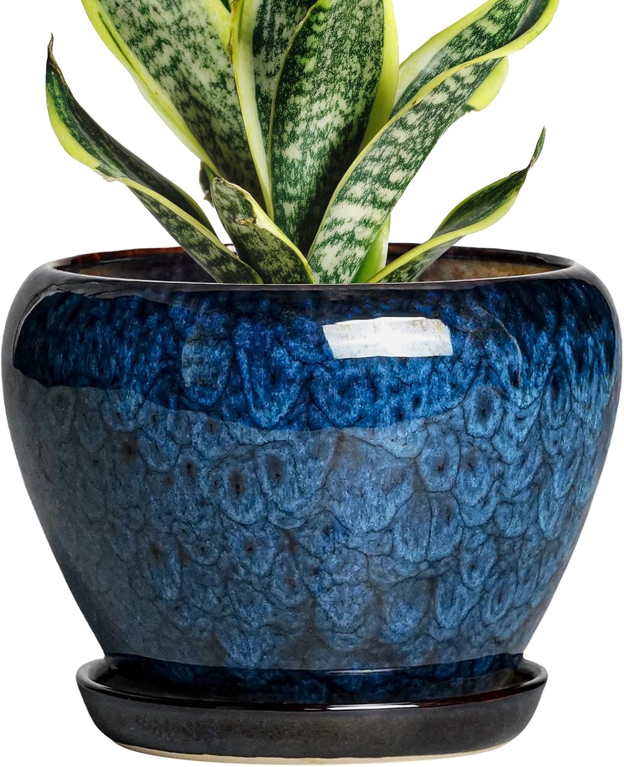 6 Inch Plant Pot – Ceramic Pots for Plants with Drainage Hole and Saucer, Round Succulent Planter Indoor Outdoor, Modern Flower Pot for Snake Plants, Home Decor, Gifts for Plant Lover, Blue