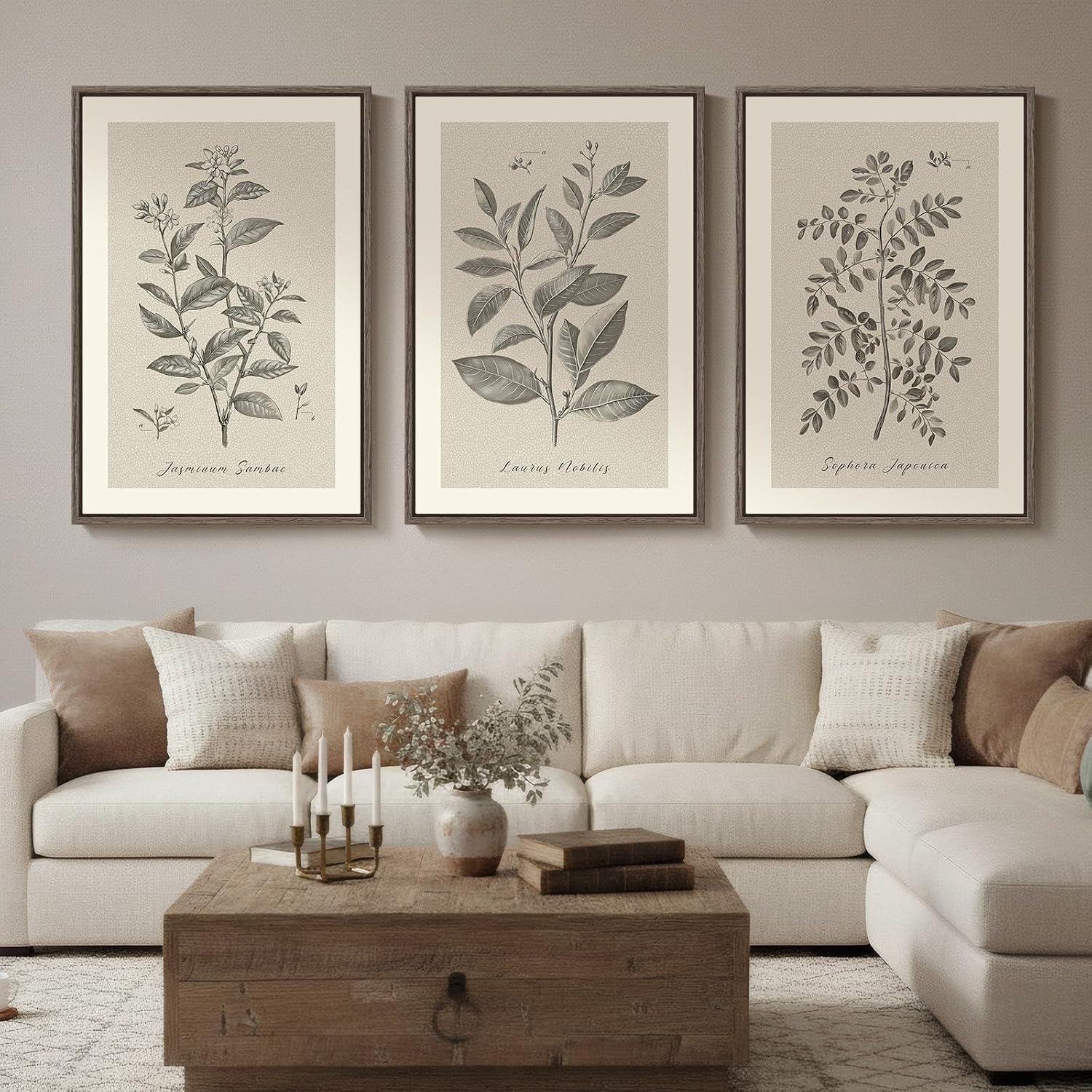 Large Framed Vintage Botanical Wall Art for Living Room, 3 Piece Rustic Farmhouse Plant Canvas Painting Prints Artwork, Neutral Natural Floral Pictures for Bedroom Kitchen Hallway Wall Decor, 24×36 In