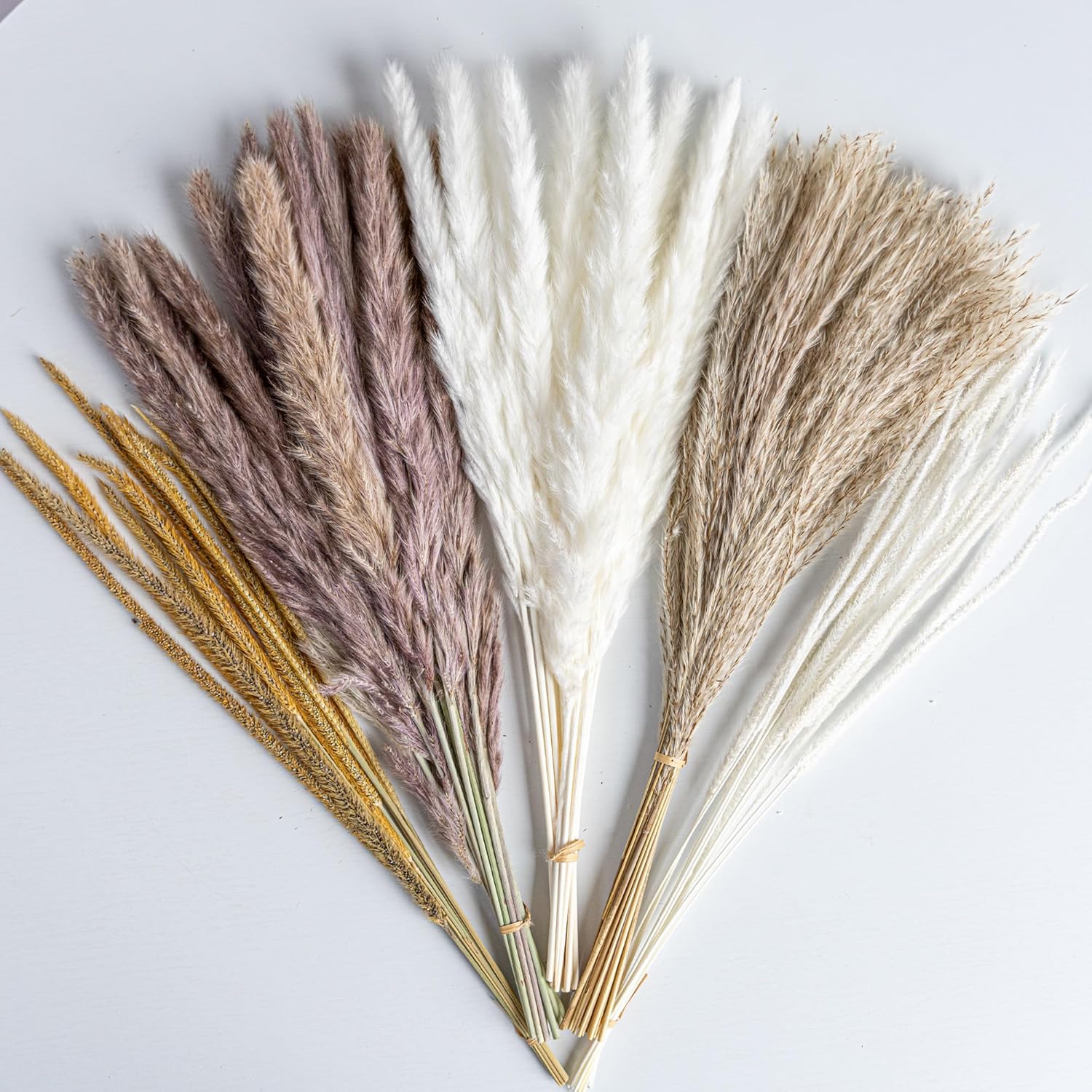 70PCS Natural Dried Pampas Grass Boho Home Decor Bouquet Phragmites Dried Flowers Bouquet for Wedding Floral Arrangements Living Room Decorations (70PCS)