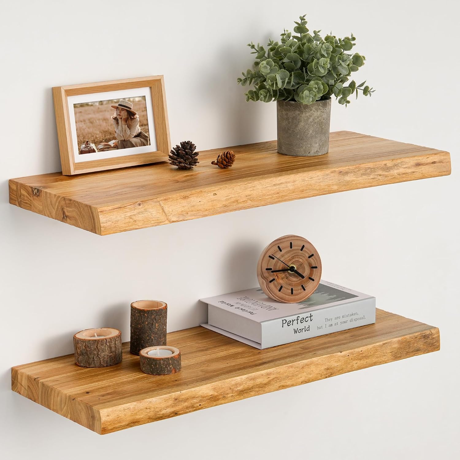 Floating Shelves Set of 2, Solid Elm Wood 24 Inch Wall Shelving | Natural Live Edge Grain, Heavy Duty Hidden Brackets, Wall Decor For Living Room, Bedroom, Kitchen & Bathroom