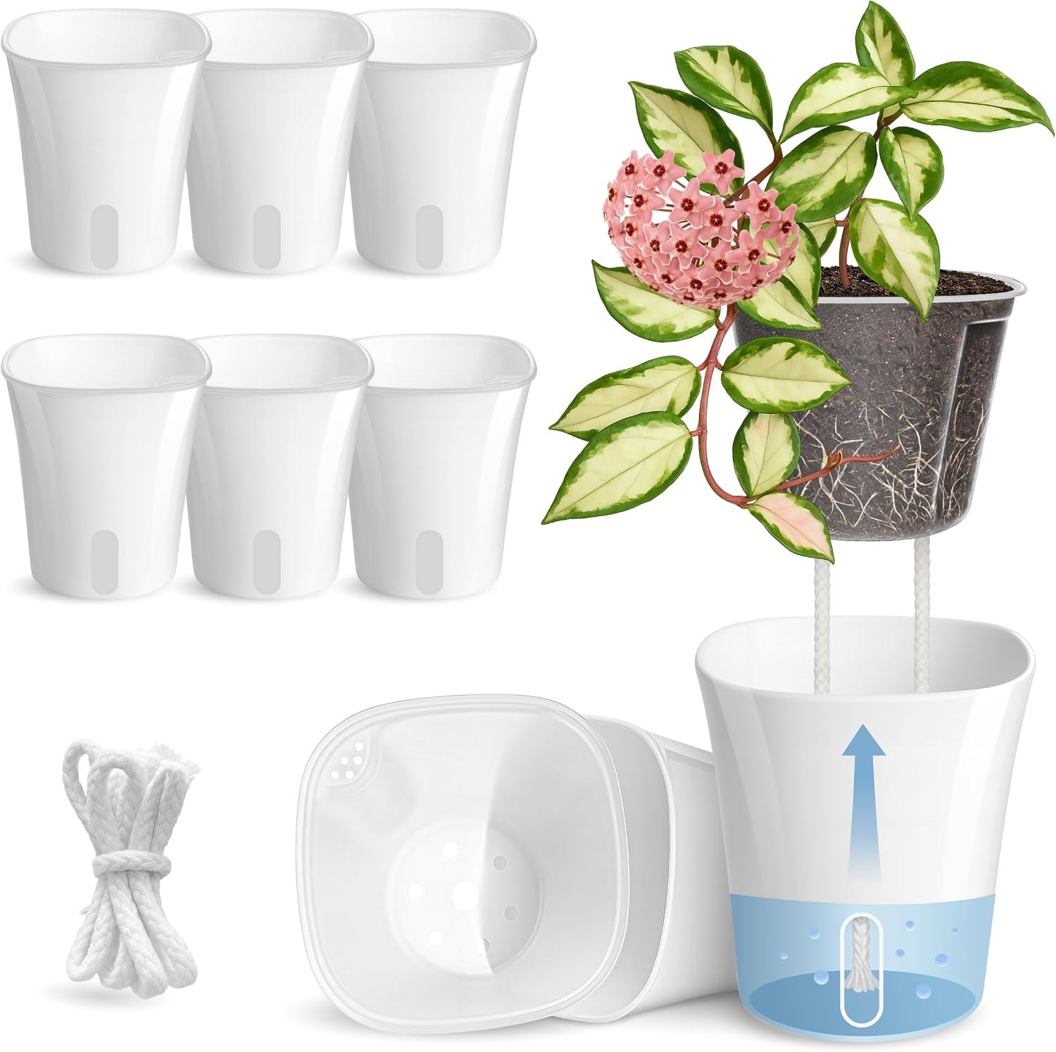8 Pack 4″ Self Watering Pots for Indoor Plants, Clear Inner Cup, Small White Plastic Planters, Water Level Indicator, Drainage Holes, Extra 3ft Wick, Cuttings,Seedlings,Herb,African Violets