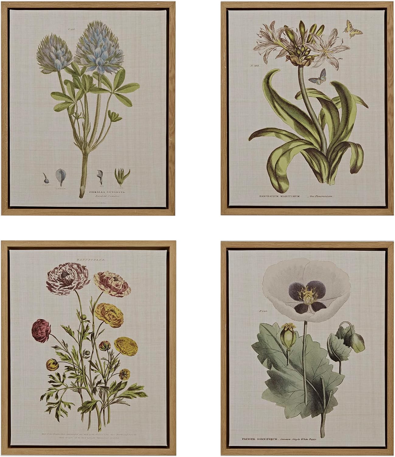 Madison Park Botanical Wall Art Living Room Decor – Vintage Floral Linen Canvas Framed Wall Art Farmhouse Lifestyle Home Office Wall Decor, Ready to Hang Painting for Bedroom, Herbal, Green 4 Piece