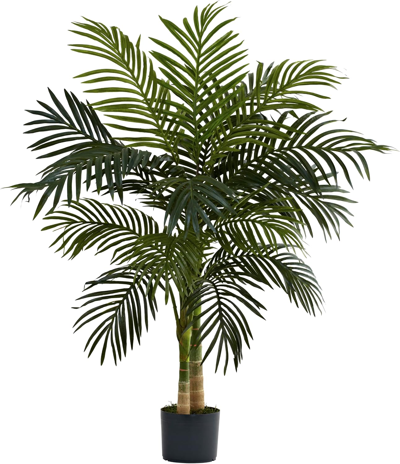 Nearly Natural 4 ft Artificial Golden Cane Palm Tree with Nursery Pot | Double-Stalk, Lush Realistic Foliage, Indoor Faux Palm Plant, Living Room Decor, Perfect Tropical Decoration