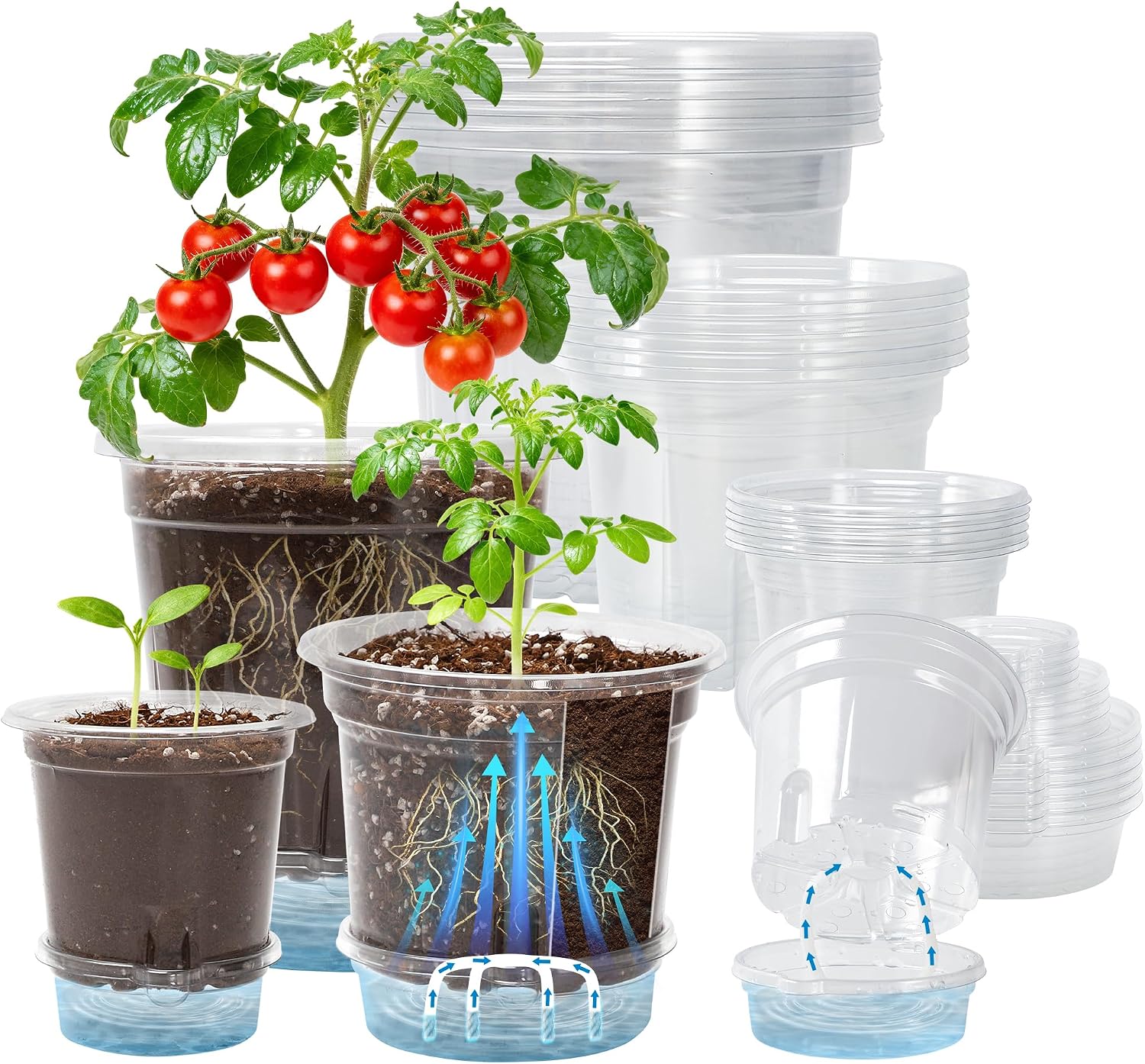 Bluepro Self Watering Pots for Indoor Plants, 4/5/6.5 Inch, 18-Pack | Clear Plastic, 6 Each of Three Sizes, Reservoir Trays and Wicks, Up to 7-Day Water Supply, Root and Water-Level Visibility