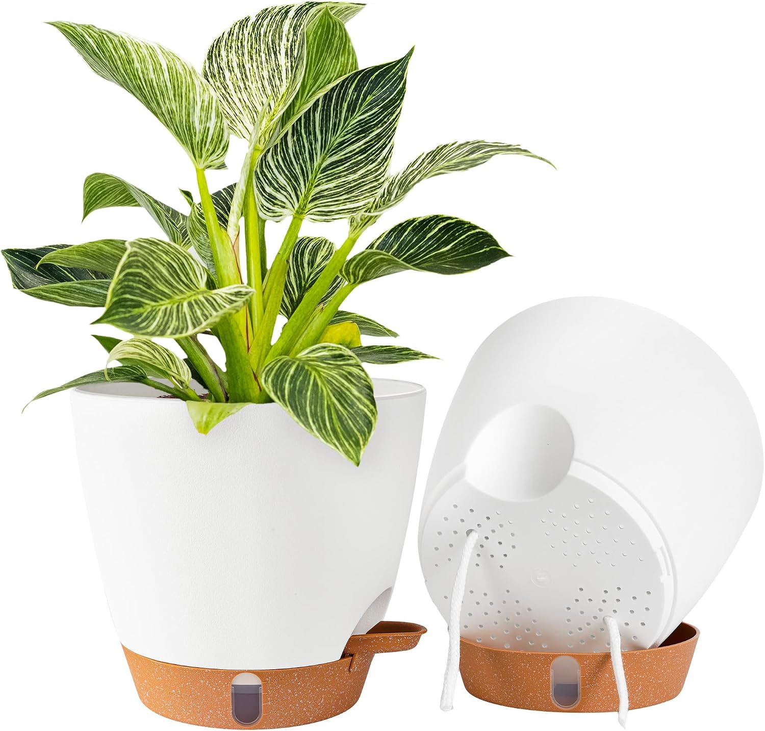 2 Pack 8 Inch Pots for Plants Indoor, Plastic Self Watering Planters | Drainage Holes, Water Level Indicator & Deep Reservoir, Decorative Flower Pots Indoor Outdoor Use, White