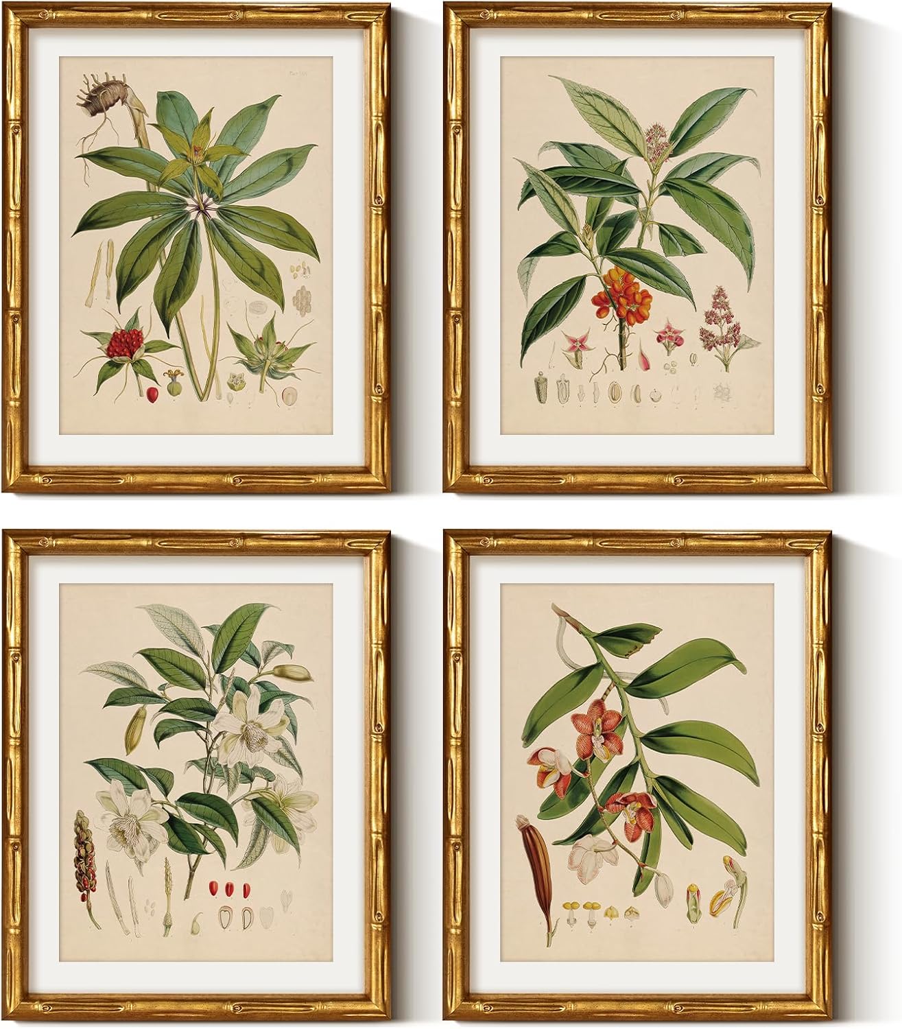 ARPEOTCY Bamboo Framed Botanical Wall Art, 4pcs Vintage Magnolia, 11x14inch | Retro Nature Canvas Prints for Kitchen Dining Room, Rustic Flowers Painting for Bedroom Hallway Home Wall Decor