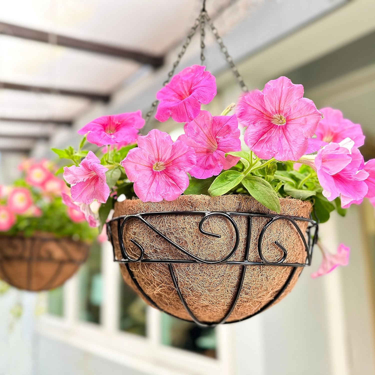 LaLaGreen Hanging Planter for Outdoor Plants (12 Inch, 2 Pack) Hanging Baskets with Coco Liner, Black Metal Wire Flower Basket Pots with Hook Hanger Balcony Porch Farmhouse Country Style Garden Decor